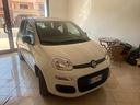 fiat-panda-1-2-easy