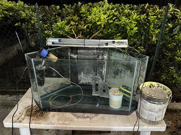 acquario
