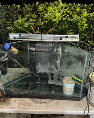 acquario