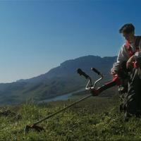Pulizia del verde con decespuglaitore