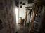 Immagine 14