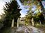 Immagine 26