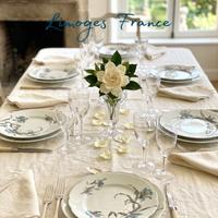 Set 12 Piatti antichi Limoges France – Anni '20