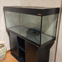 Acquario