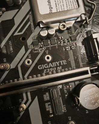 Scheda madre Gigabyte Z390M
