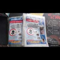 Pz. 4  Zanzariera magnetica Sana Tec bianche 