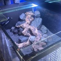 Servizi privati per acquari