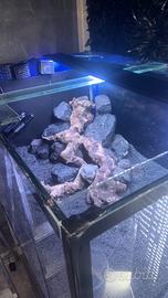 Servizi privati per acquari