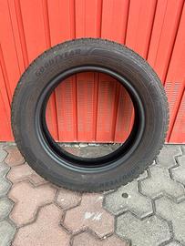 Gomme invernali Good Year
