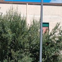 Pali come quelli Enel in acciaio zincati mt 6