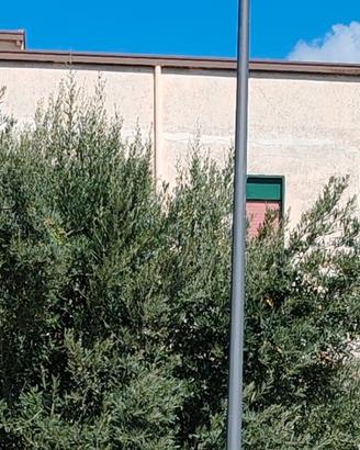 Pali come quelli Enel in acciaio zincati mt 6