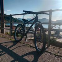 wheelie bike