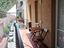 Immagine 2