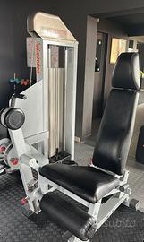 Leg extension panatta