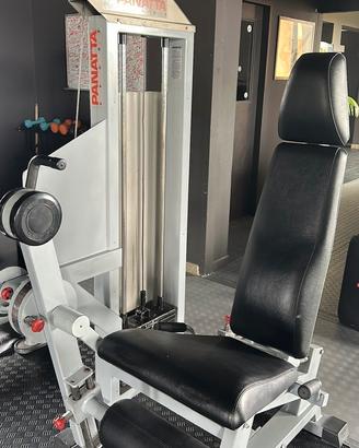 Leg extension panatta