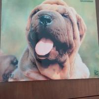 Vinile zecchino d'oro 1989