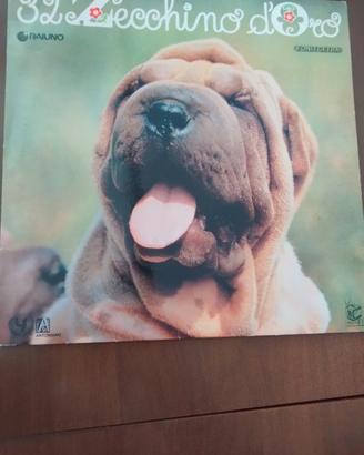 Vinile zecchino d'oro 1989