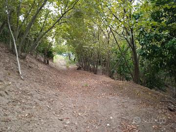 Terreno agricolo