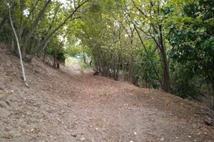 Terreno agricolo