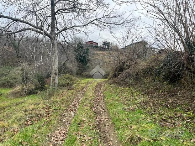 TER. AGRICOLO A ANGOLO TERME