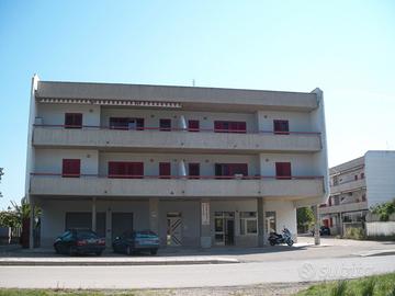 Grazioso appartamento