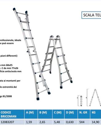 Scala professionale
