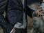 Immagine 6