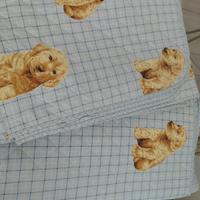 trapunte singole Gabel