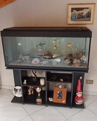 Acquario