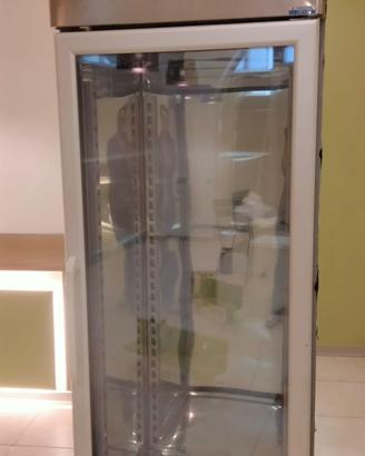 Freezer verticale Tecnodom con porta in vetro