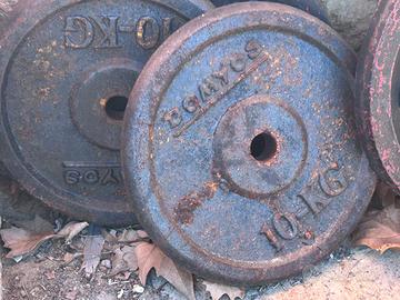 Pesi per palestra dai 2 si 10kg