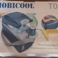 frigorifero portatile termo elettrico