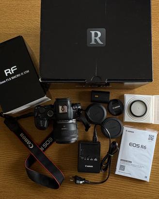 Canon EOS R6 + Canon RF 35mm f/1.8 Macro IS STM