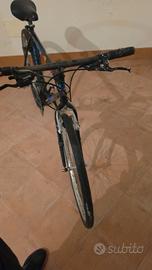bicicletta donna