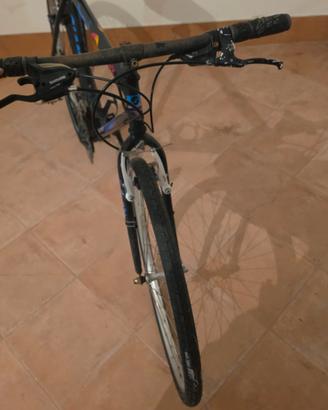 bicicletta donna