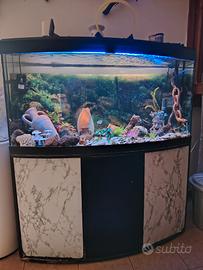 acquario 250/300 litri 
