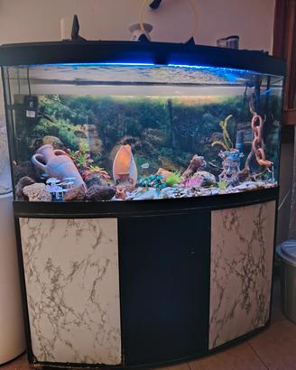 acquario 250/300 litri 