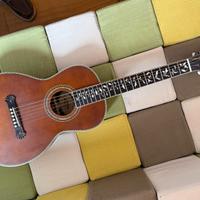 chitarra parlor Washburn R320SWRK (rarissima)