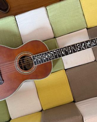 chitarra parlor Washburn R320SWRK (rarissima)