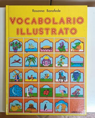 Libro "Il vocabolario Illustrato"