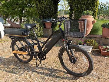 bicicletta elettrica cargo 