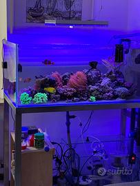 Acquario 110x60x45 ed accessori