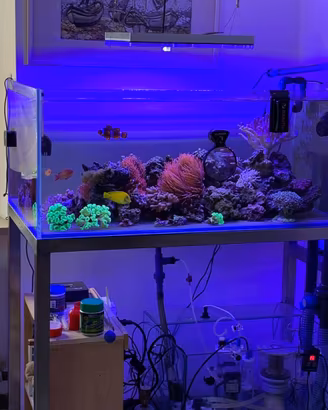 Acquario 110x60x45 ed accessori