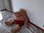 Immagine 1