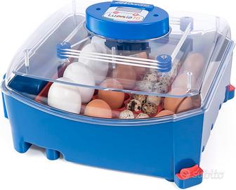 Borotto Lumia 16 Automatica - Incubatrice Professi