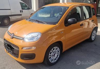Nuovissima Panda Ibrida