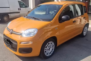 Nuovissima Panda Ibrida