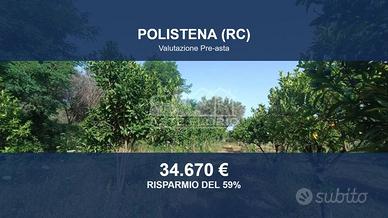 Immobile in asta di 27870 m² a Polistena