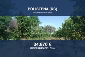 Immobile in asta di 27870 m² a Polistena