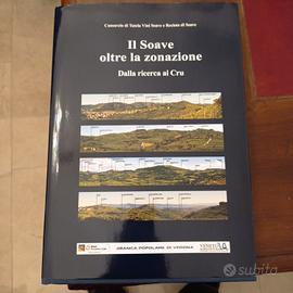Il Soave oltre la zonazione